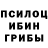 Псилоцибиновые грибы Psilocybe MrGeleg 12