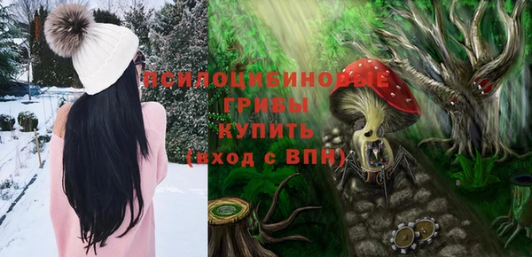 молекула духа Алексеевка