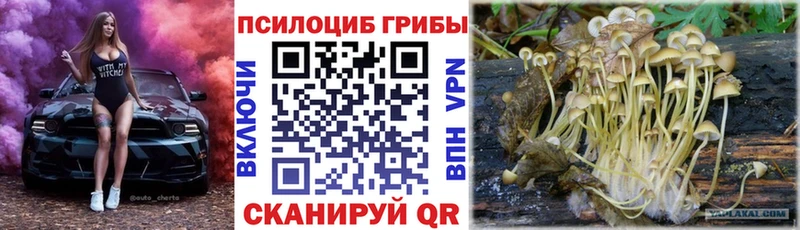 Псилоцибиновые грибы Psilocybe  мориарти формула  Зверево 